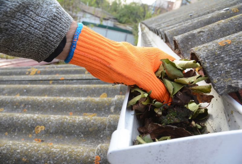 Gutter Leaf Clearing in Longmont, CO