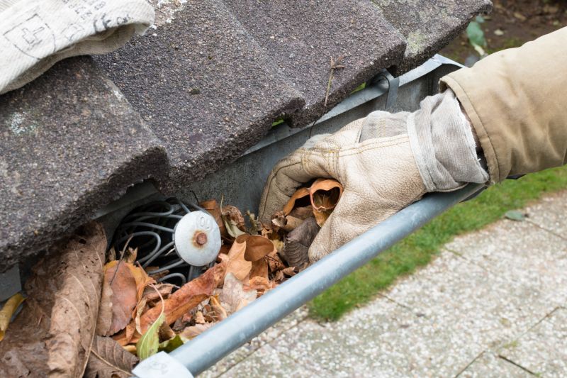 Gutter Maintenance in Monmouth County, NJ