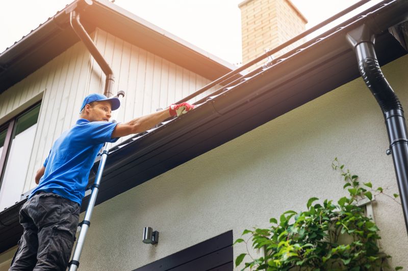 Roof Gutter Cleaning in Annapolis, MD